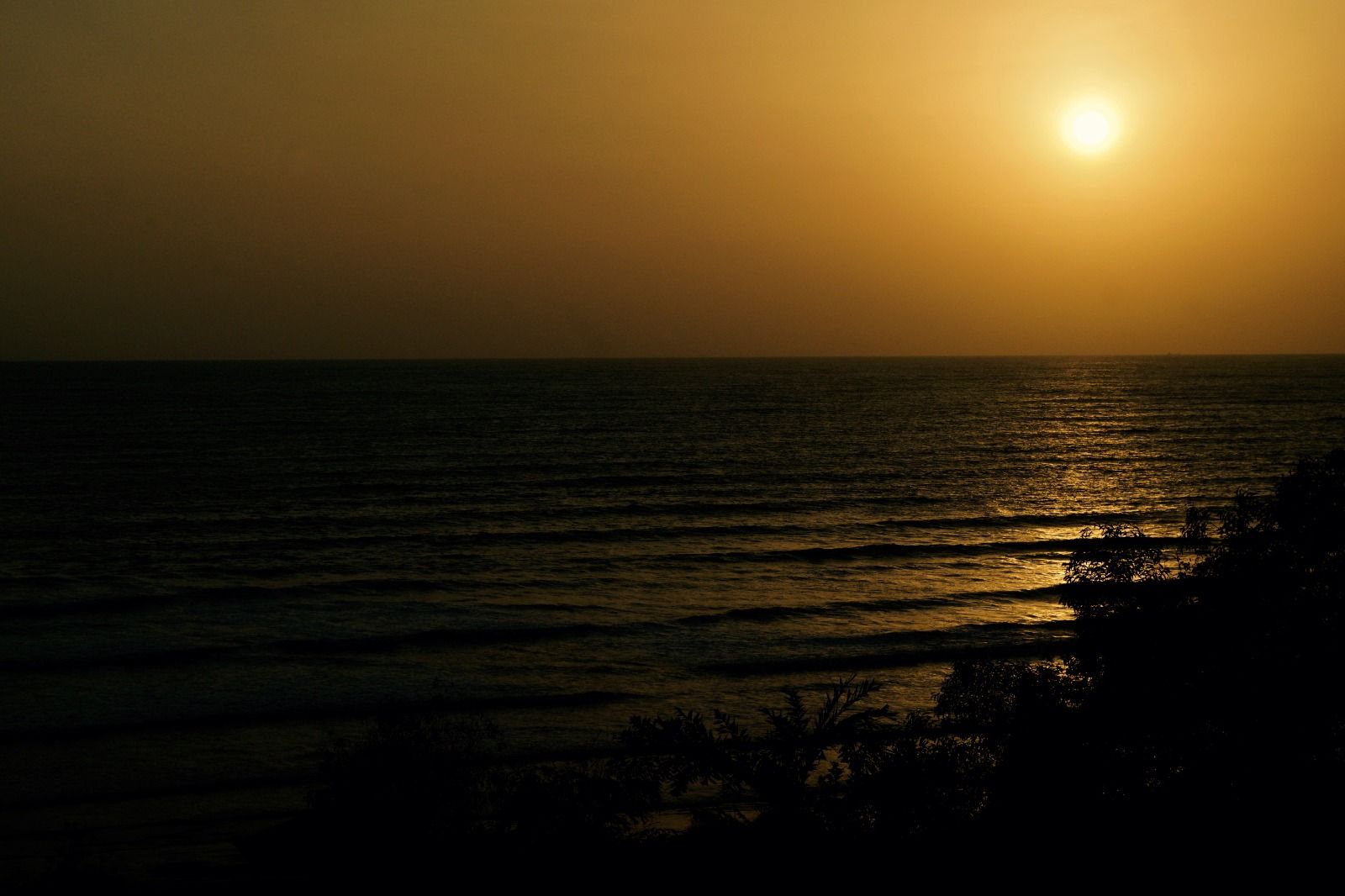 Golden Farewell