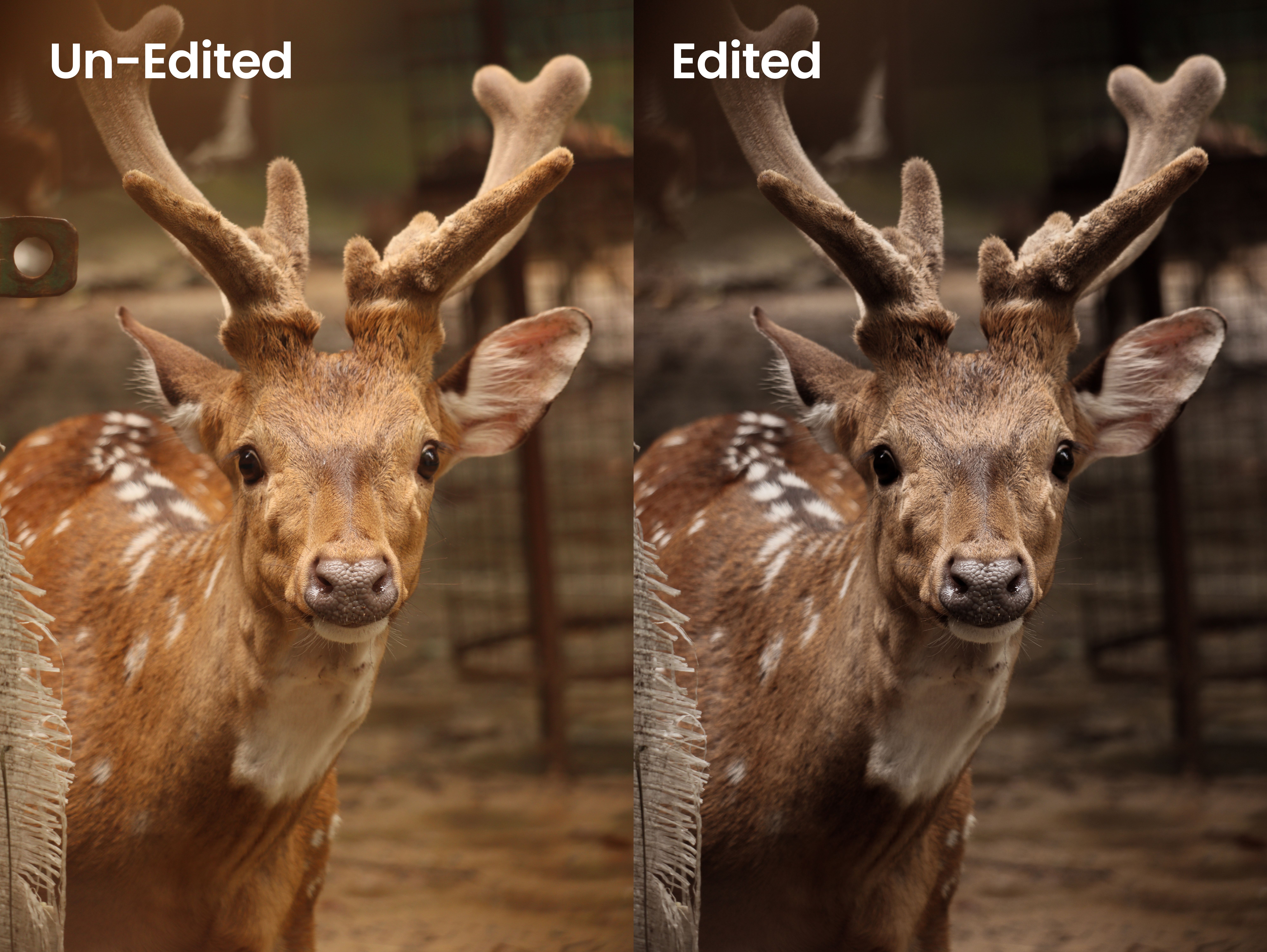 Reels and Frames