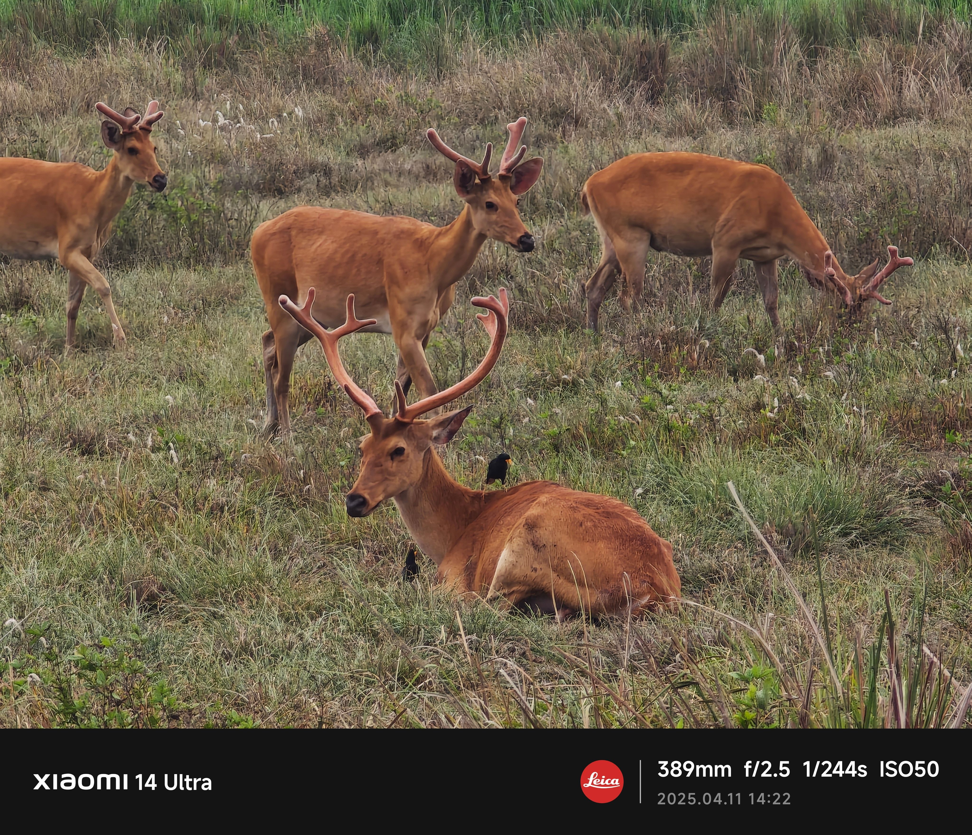 Photograph by Anuktsaroop Singh