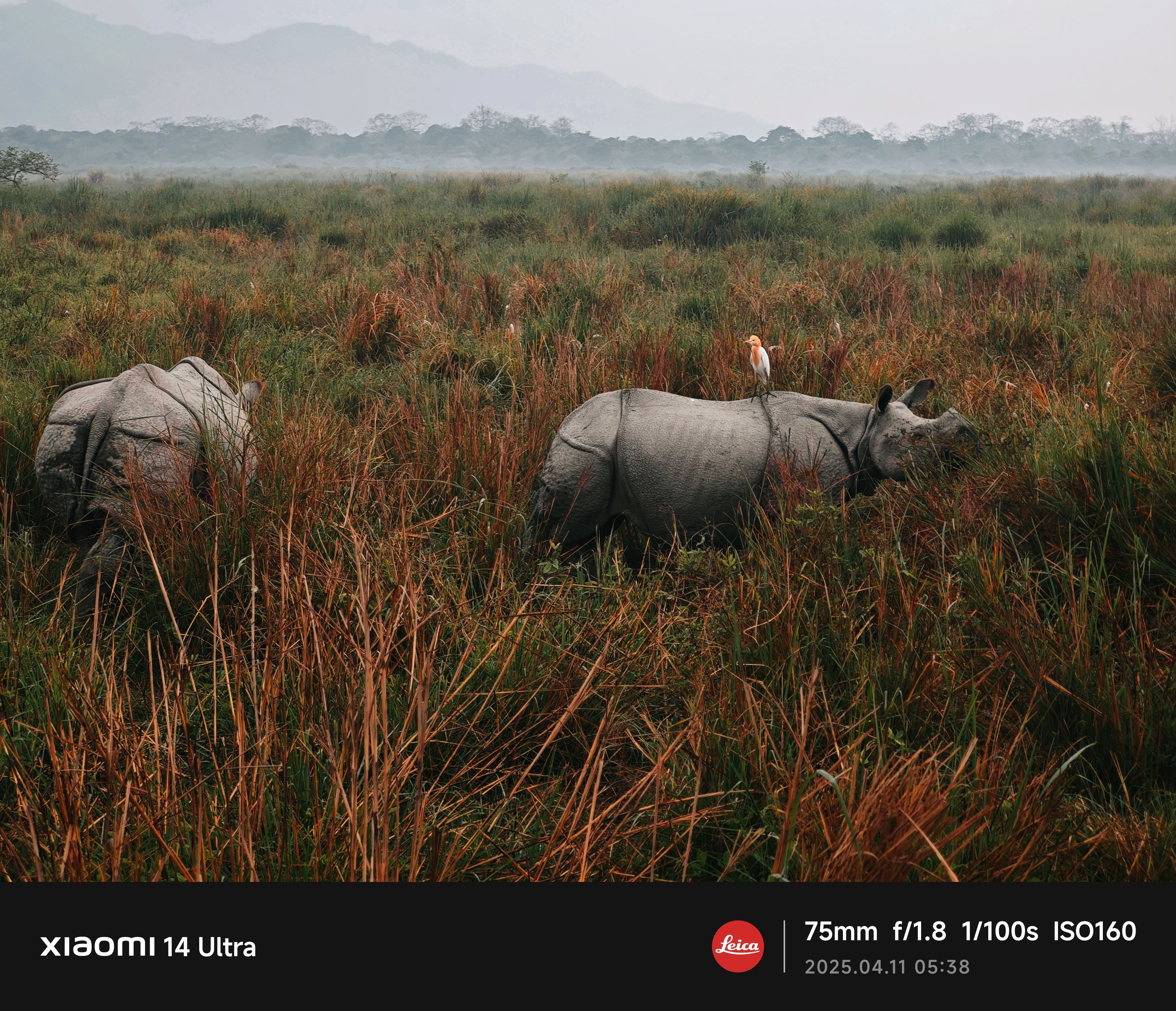 Photograph by Anuktsaroop Singh