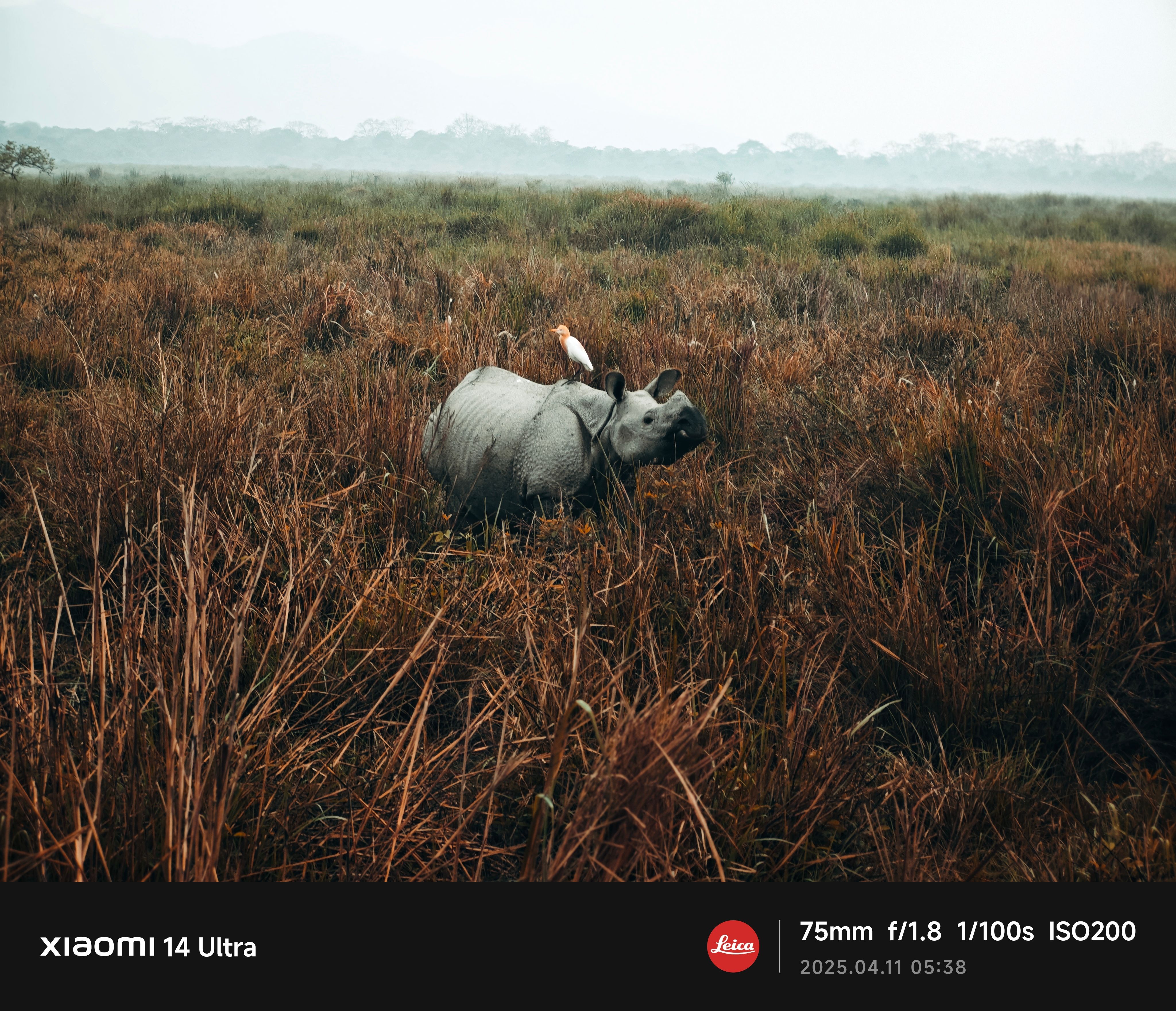 Photograph by Anuktsaroop Singh