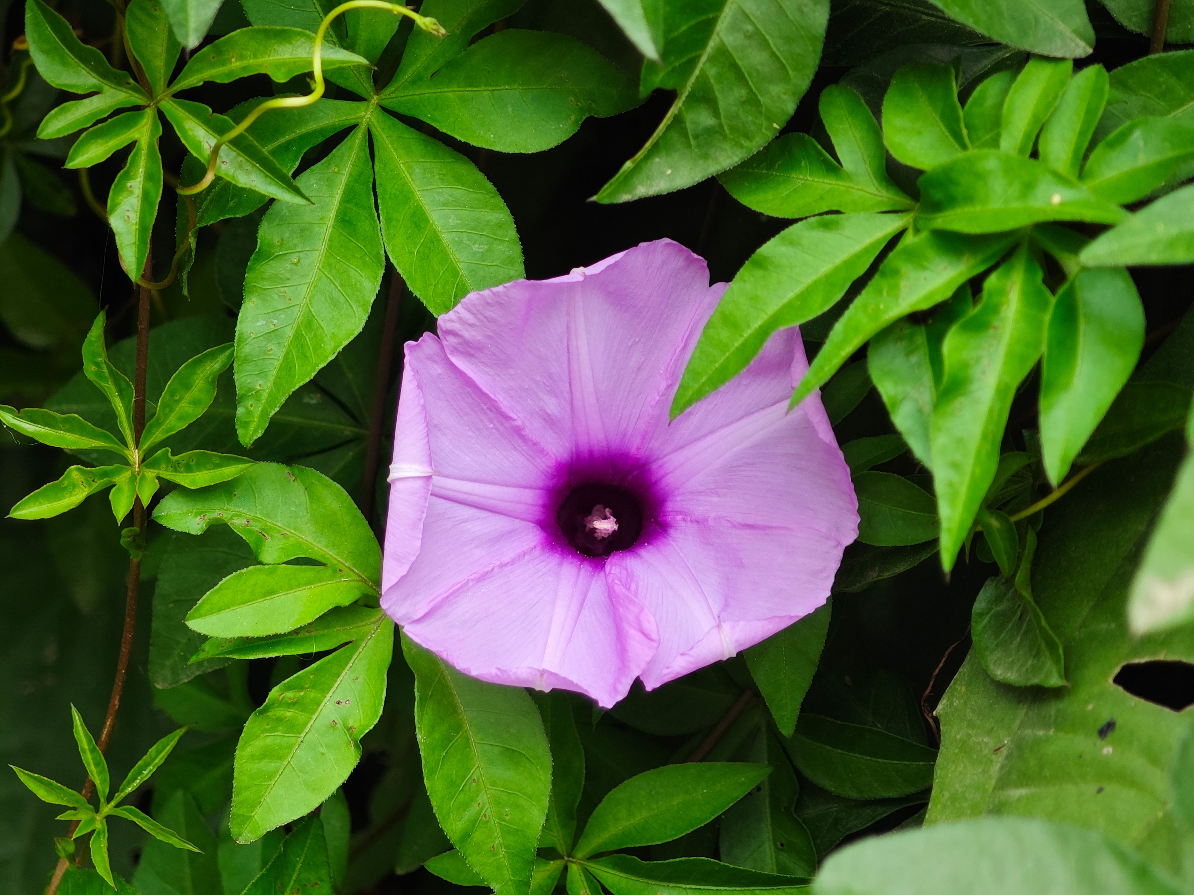 Photograph by Anuktsaroop Singh