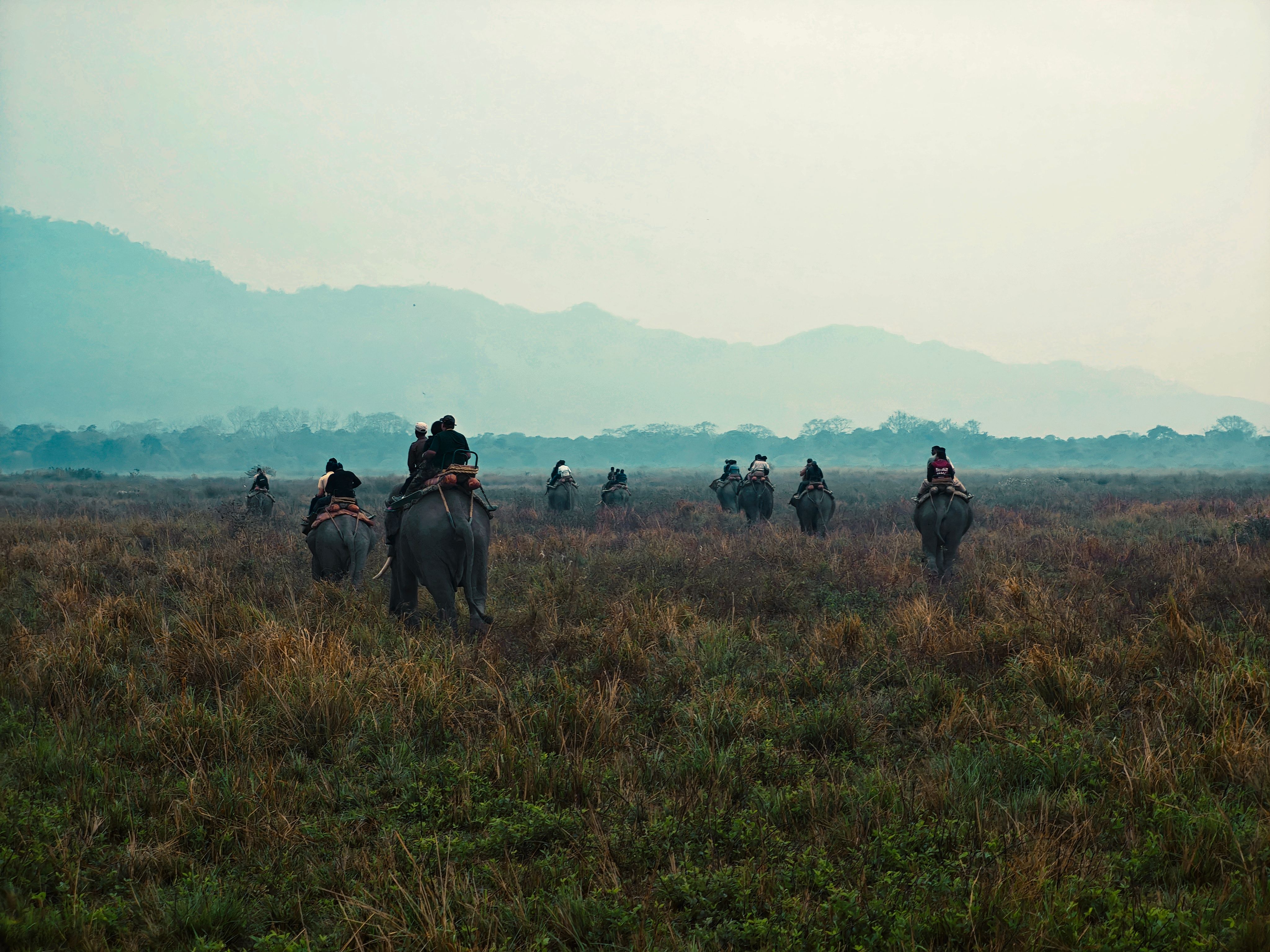 Photograph by Anuktsaroop Singh