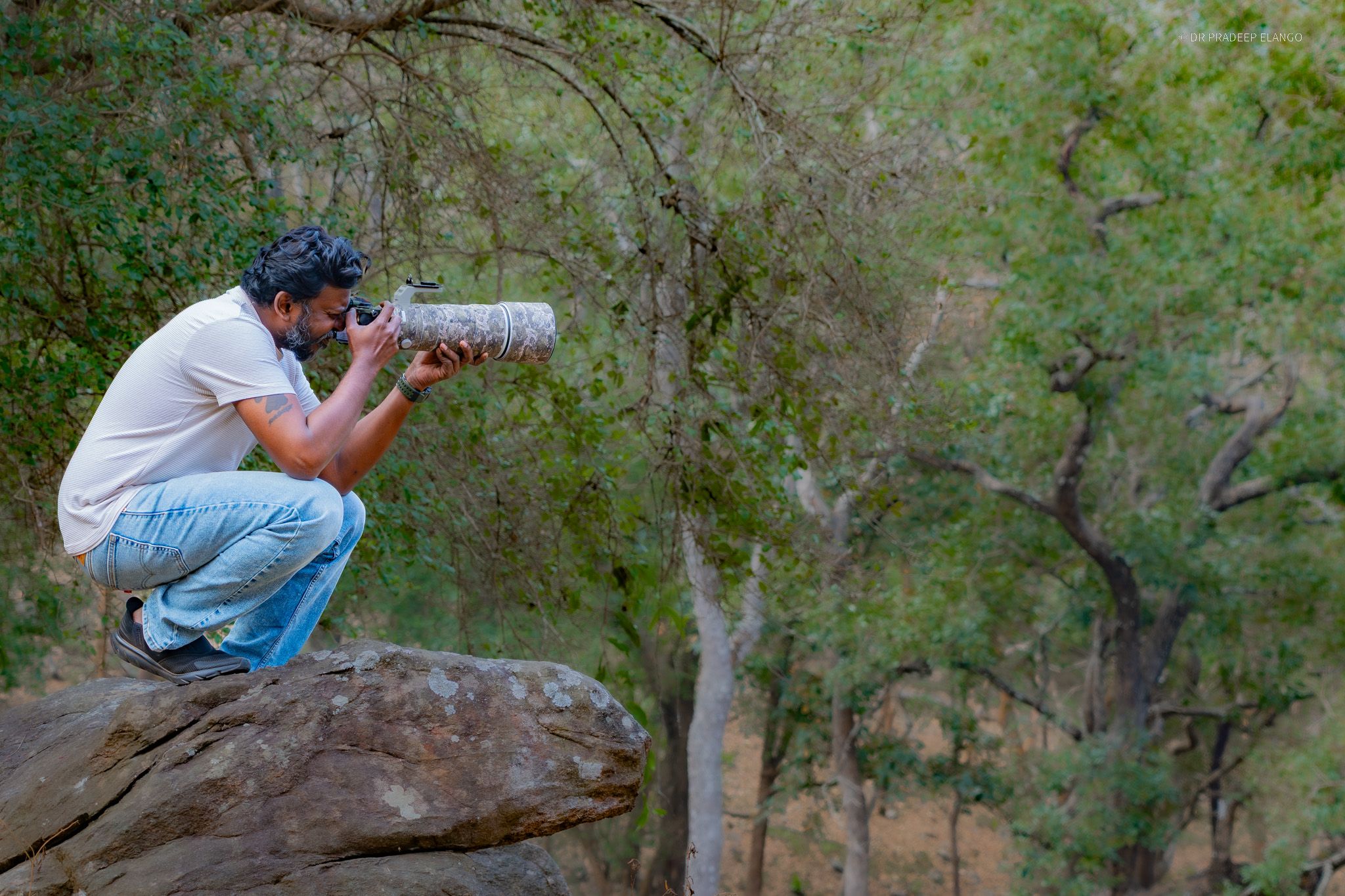 Wild Through the Lens: An Interview with Dr. Pradeep Elango post image