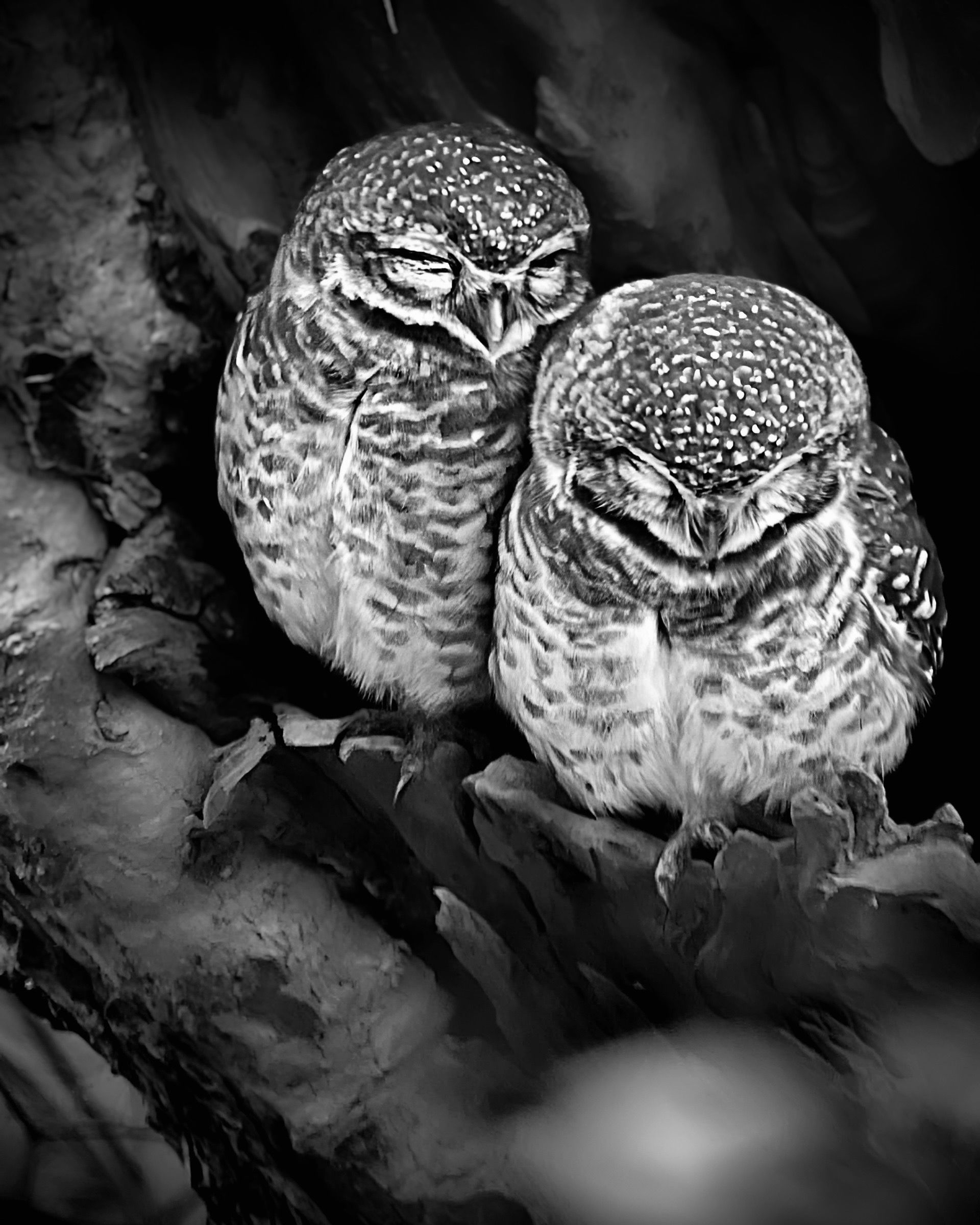 Reels and Frames