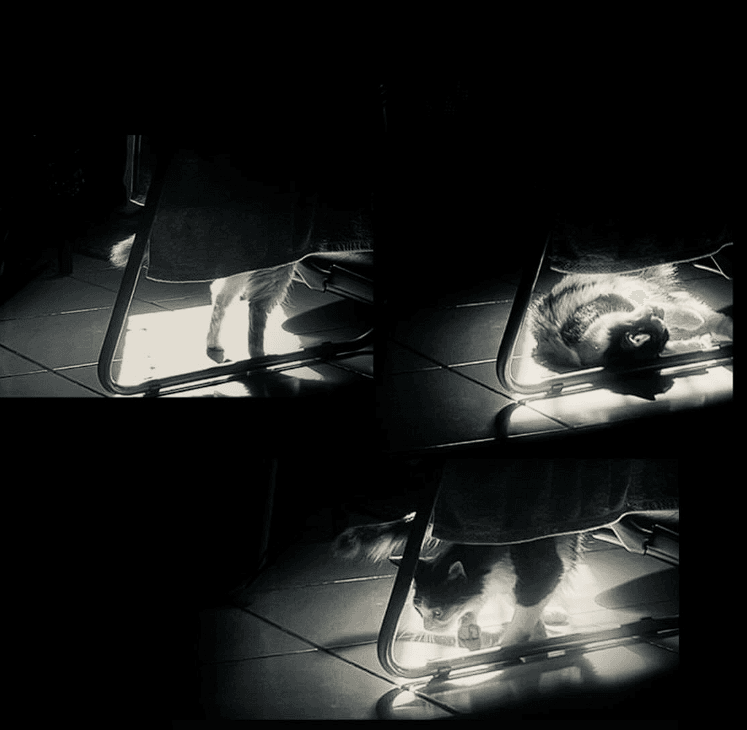 Reels and Frames