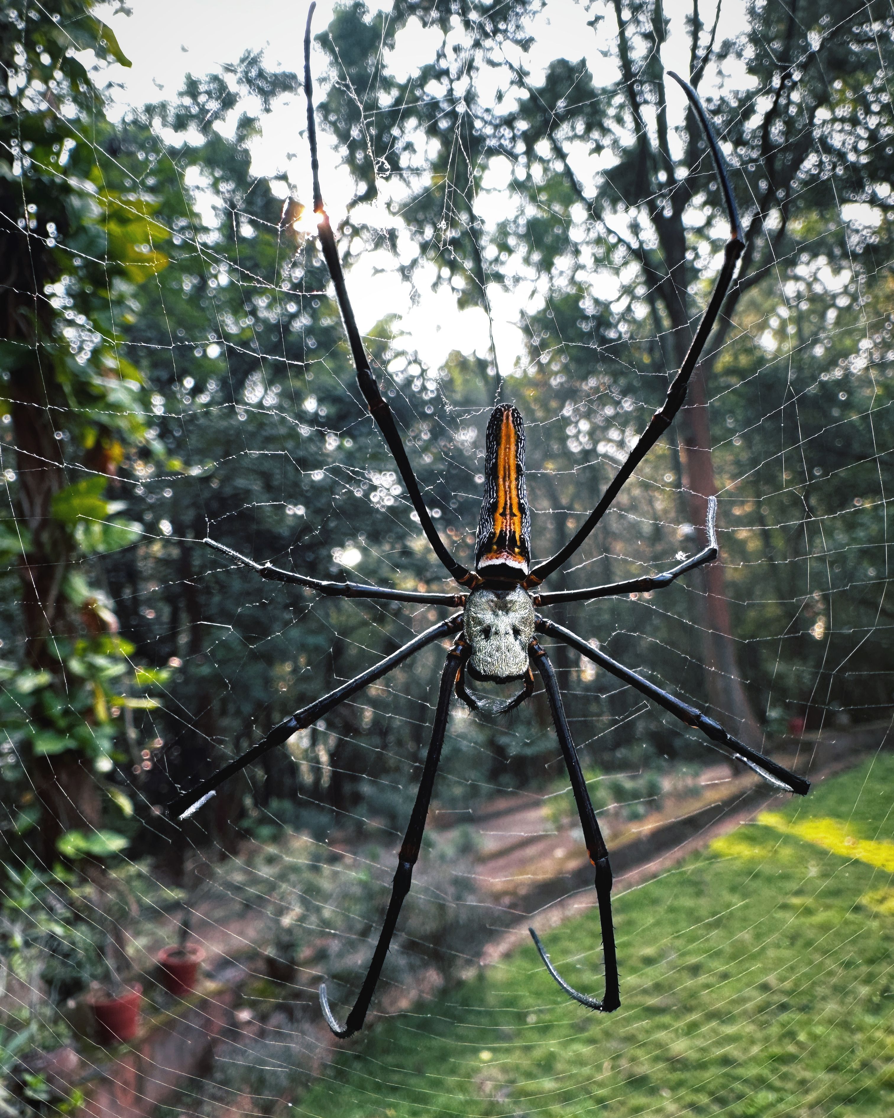 Reels and Frames