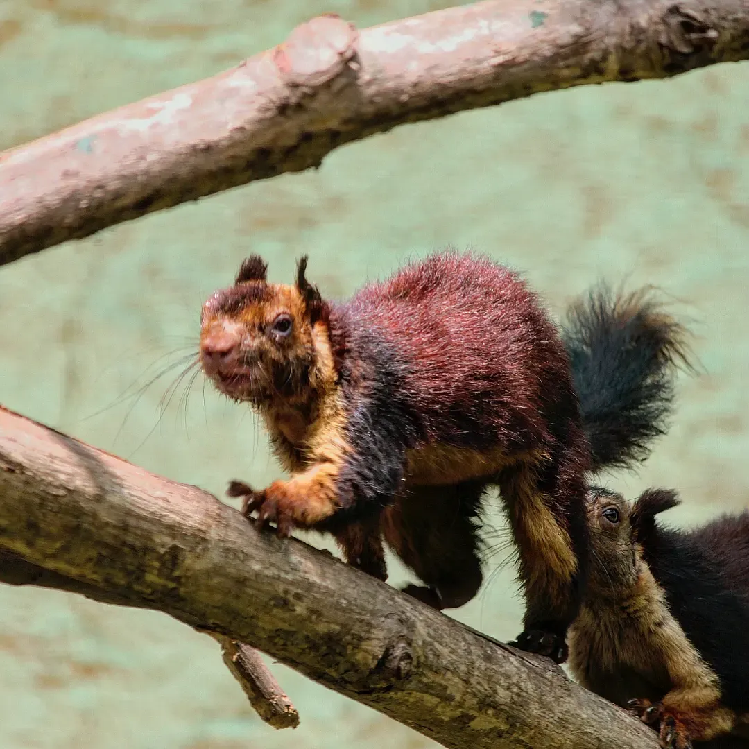 Reels and Frames