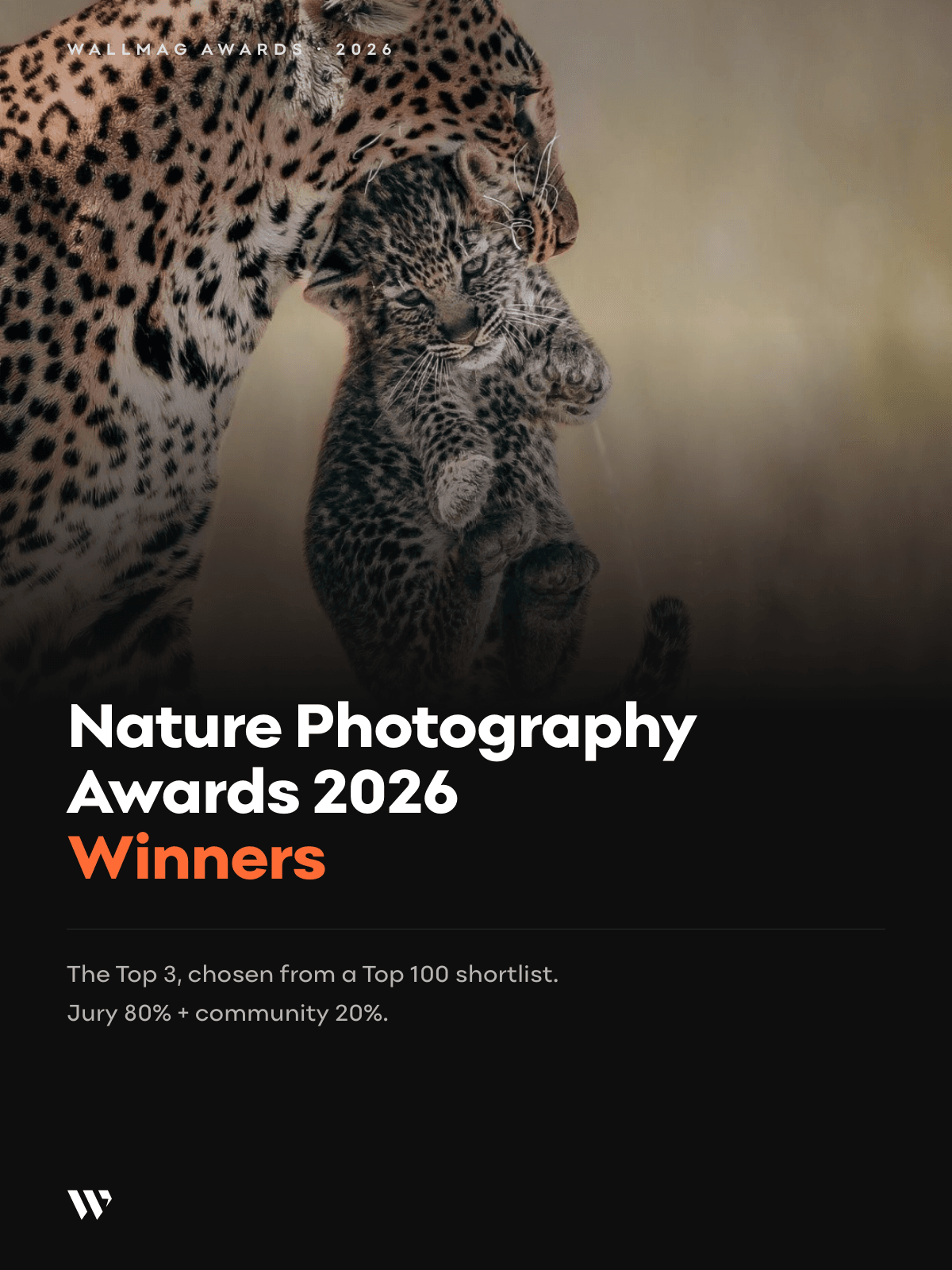 WallMag Nature Photography Awards 2026 winners