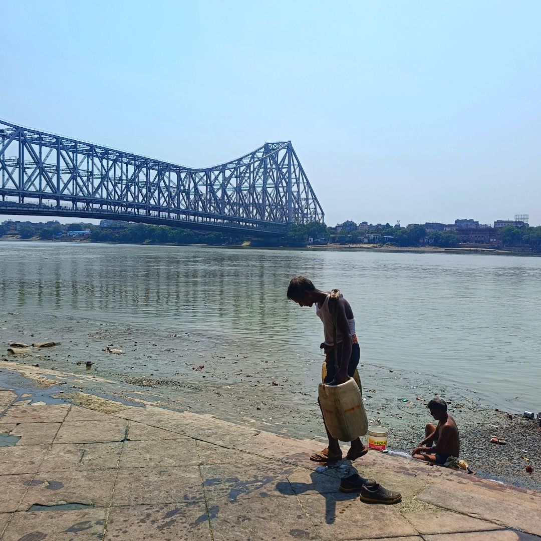 Struggling life