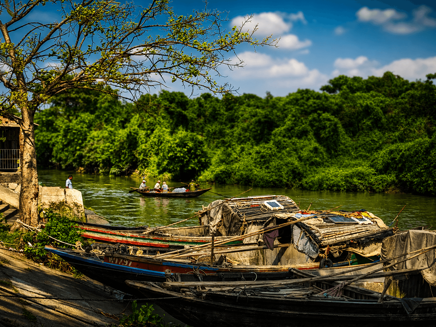 Nature view