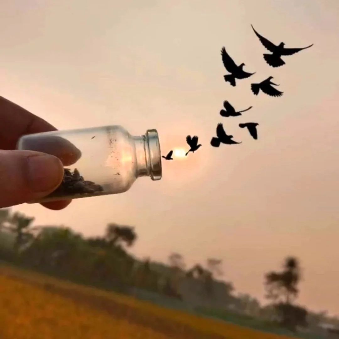 Flying