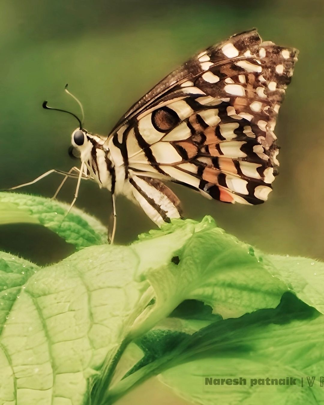 A Moment in Nature