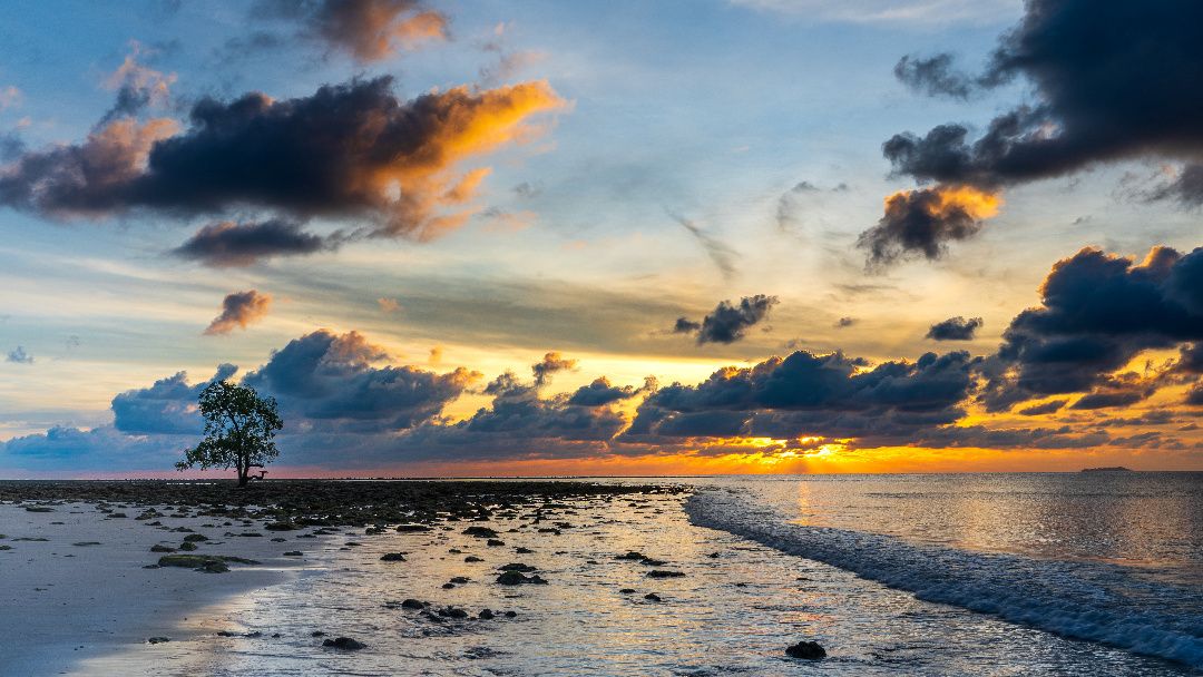 Songs of the Andaman and Nicobar Island Sea