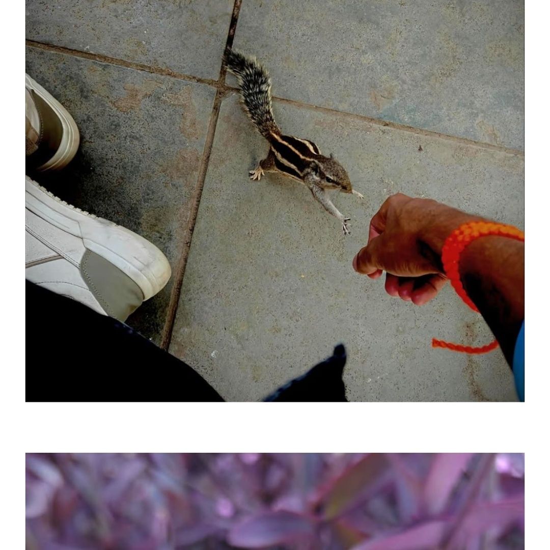 Gilhari