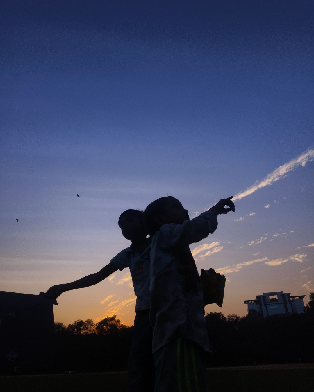 Chasing the Evening Sky