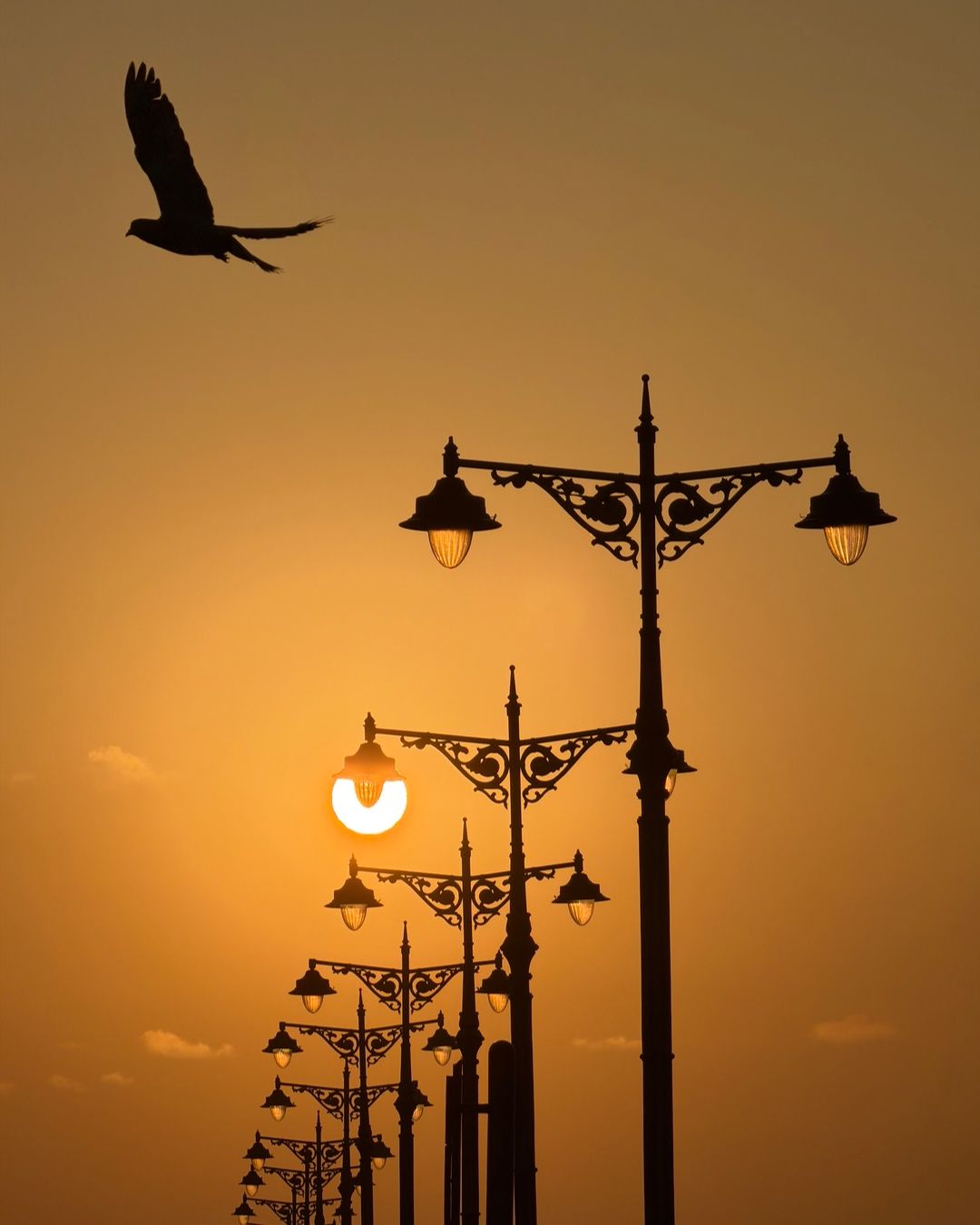 Flight Through Dawn