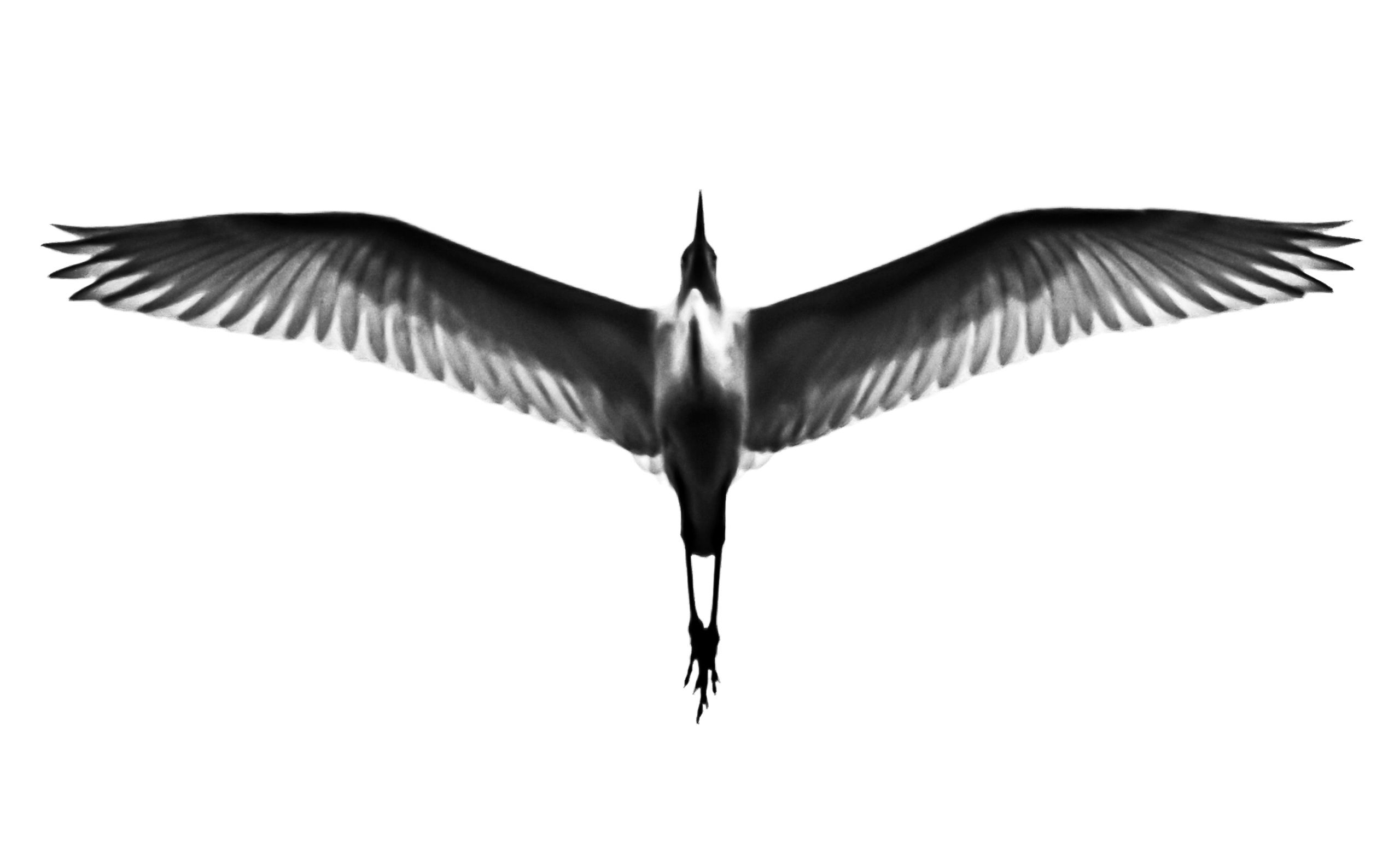 The Silhouette of Ascent