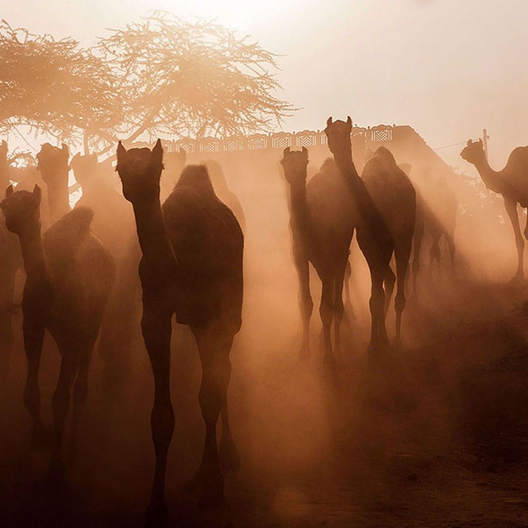 Faces of Pushkar
