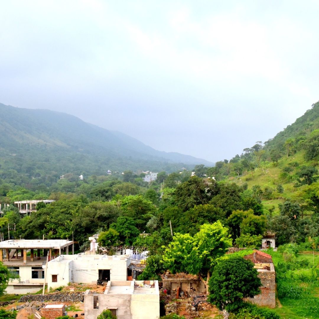 Nature Calling at Kumbhalgarh, Rajasthan