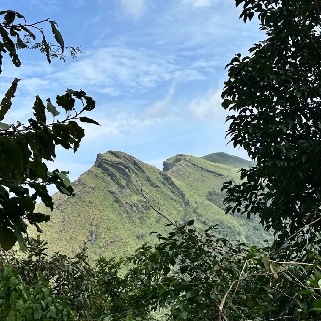 Mountain Whispers
