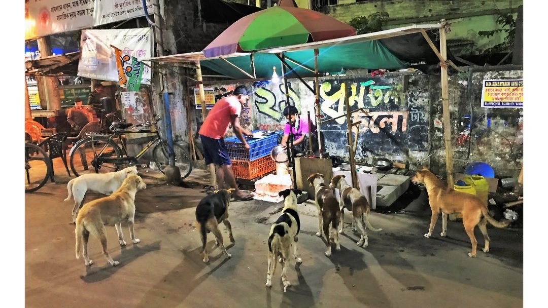 The chicken seller, and his customers. Calcutta.
