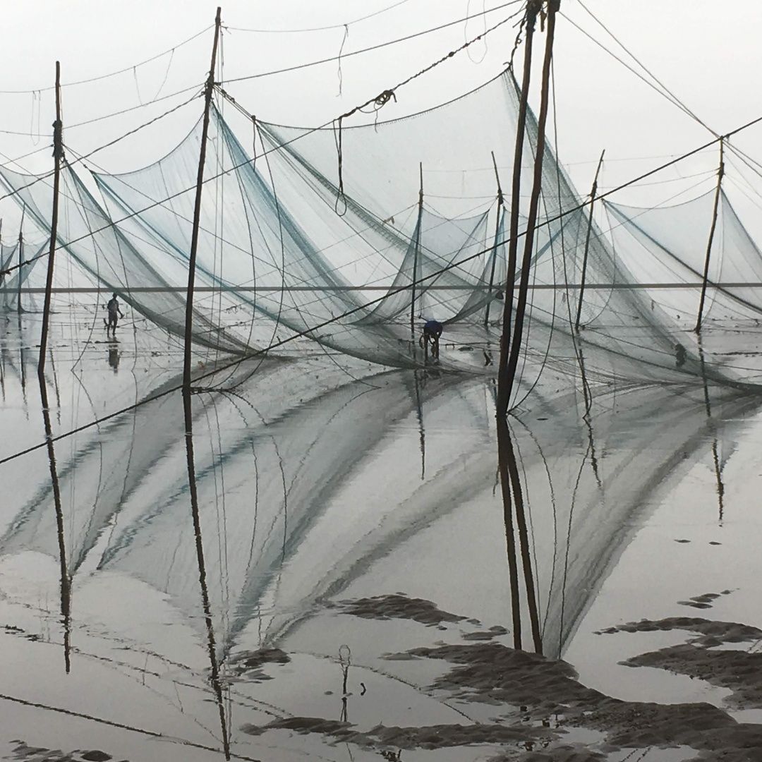 Reflection of fishing net