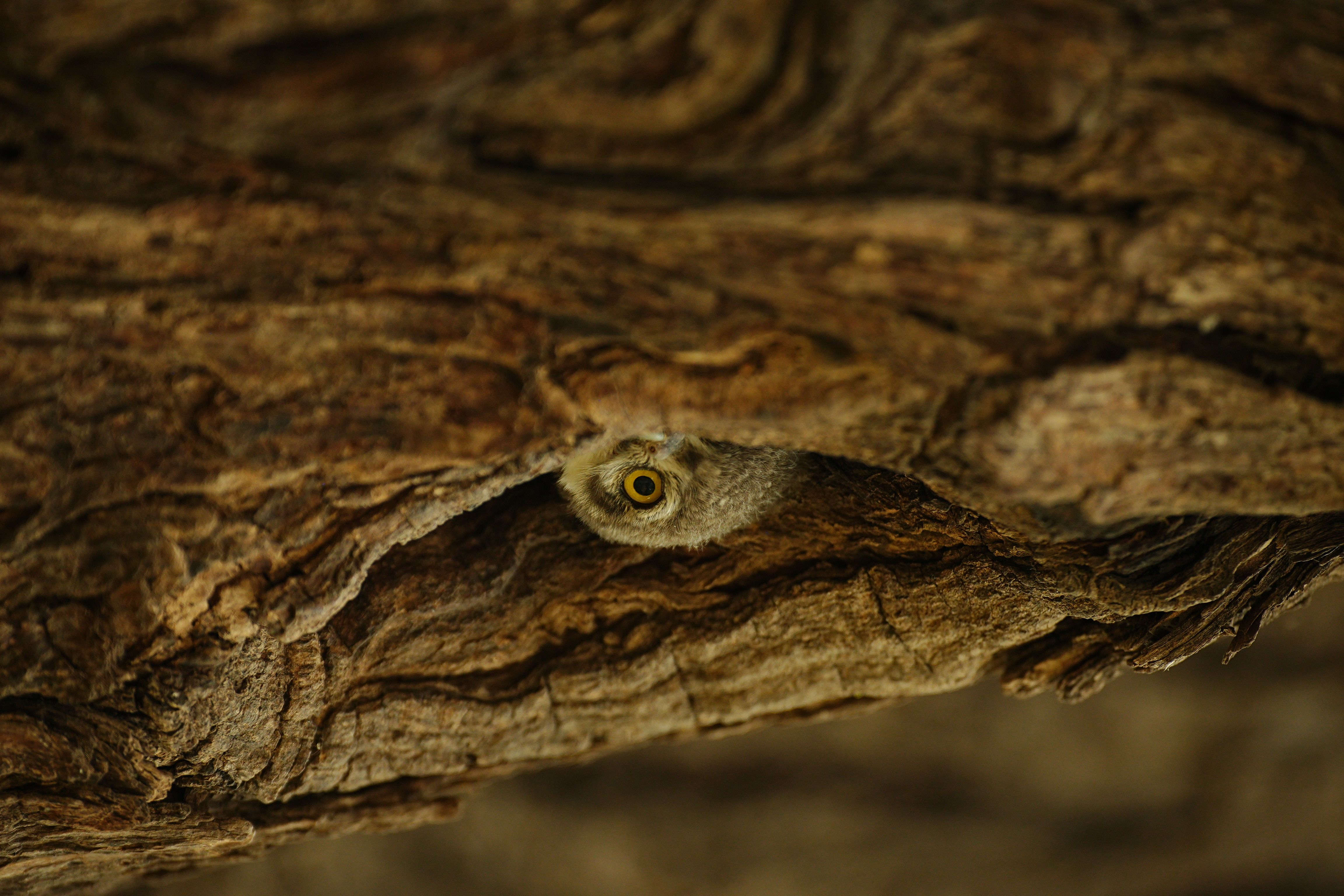 Nature’s Little Secret