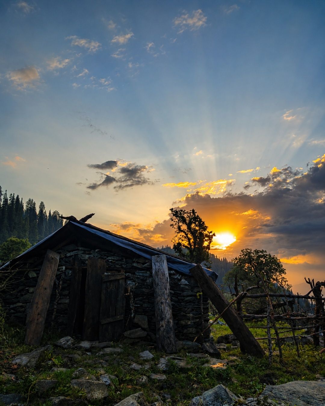 Sunset in meadows