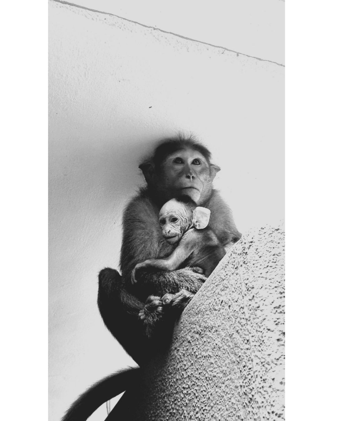 Safest place