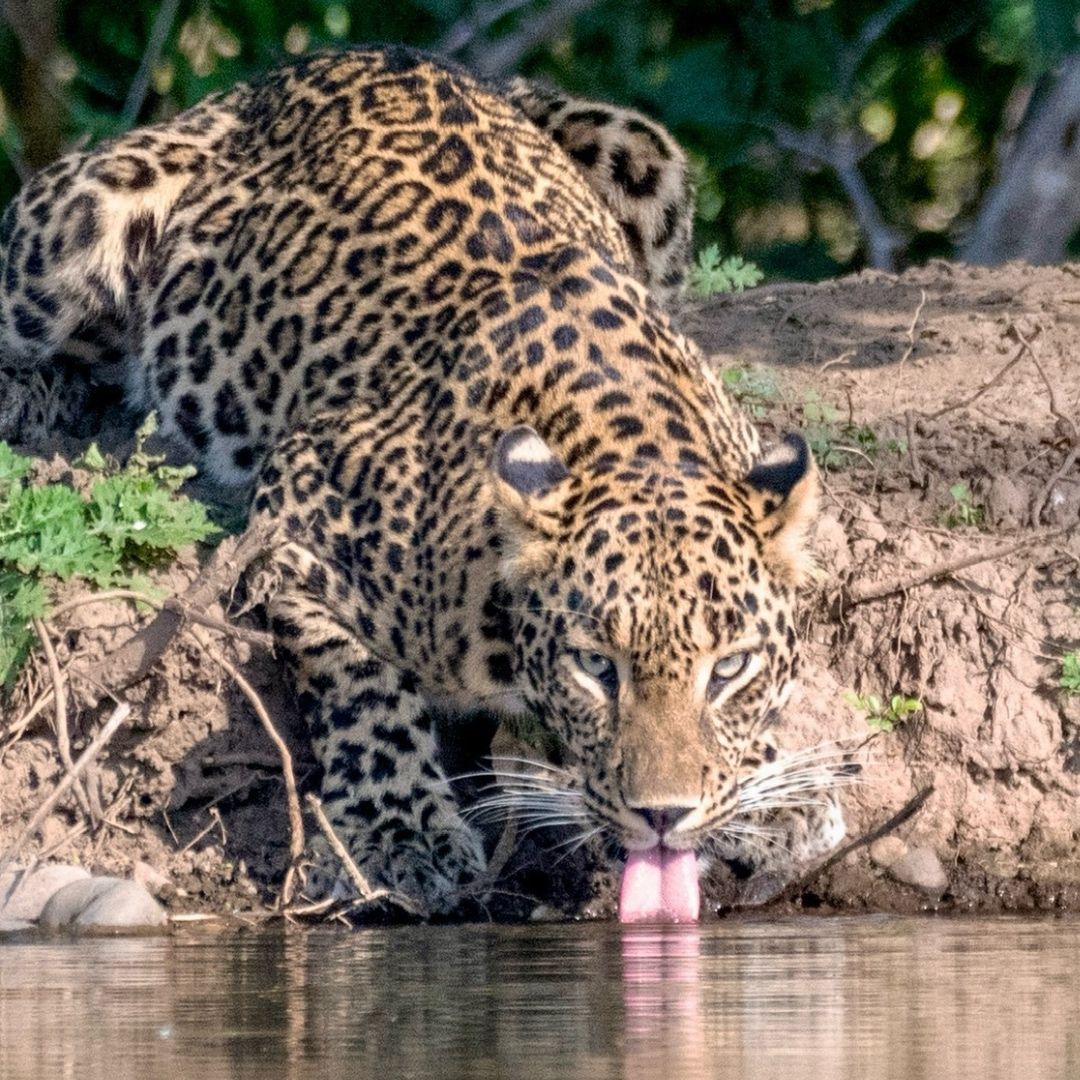 Nothing is more precious than water
