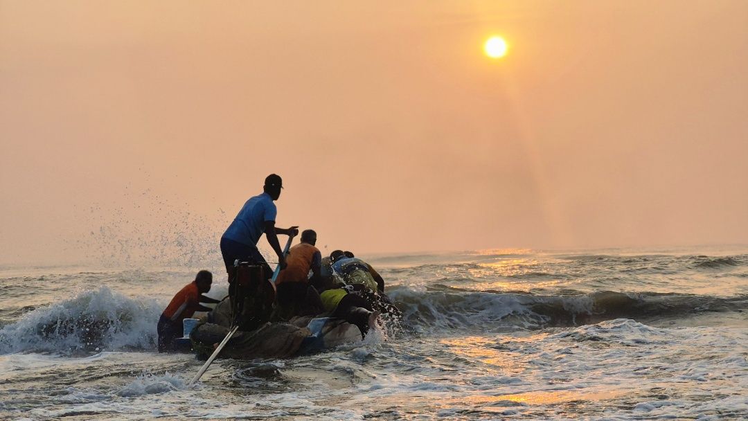 Sun, Surf, Survival