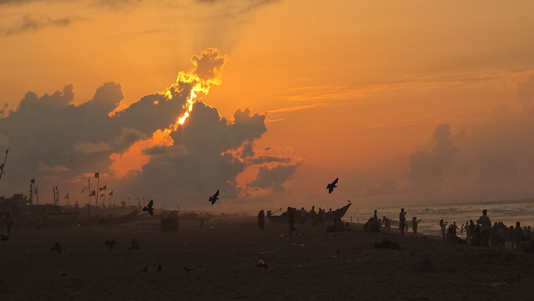 Golden freedom