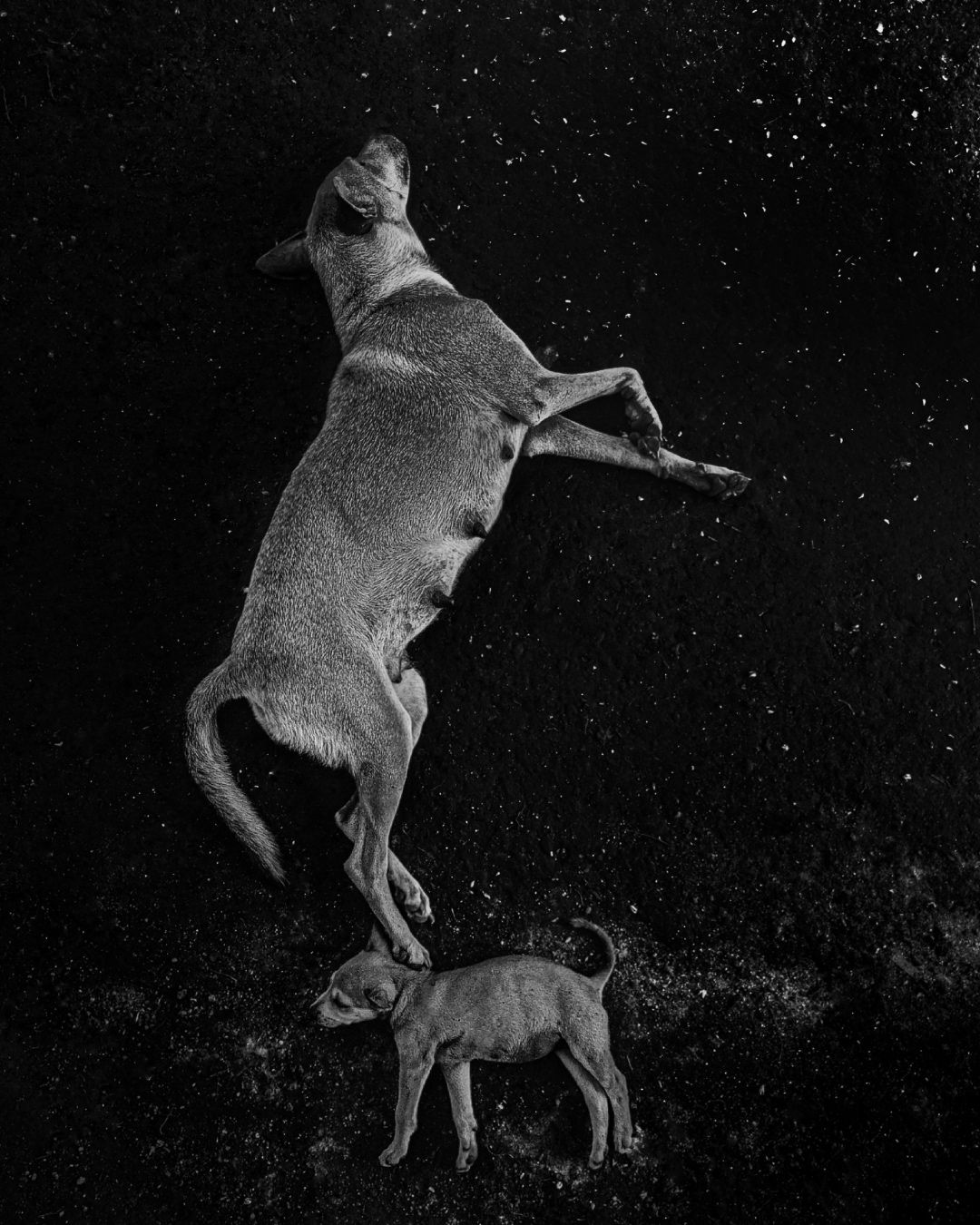 Somewhere beyond the clouds⦠two souls resting in the silence of spac