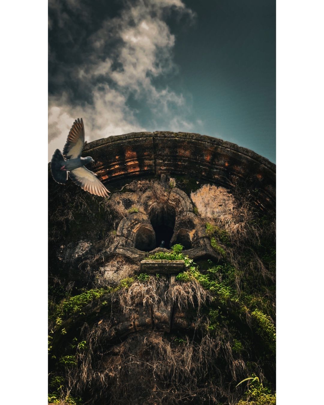 Flight of the Forgotten