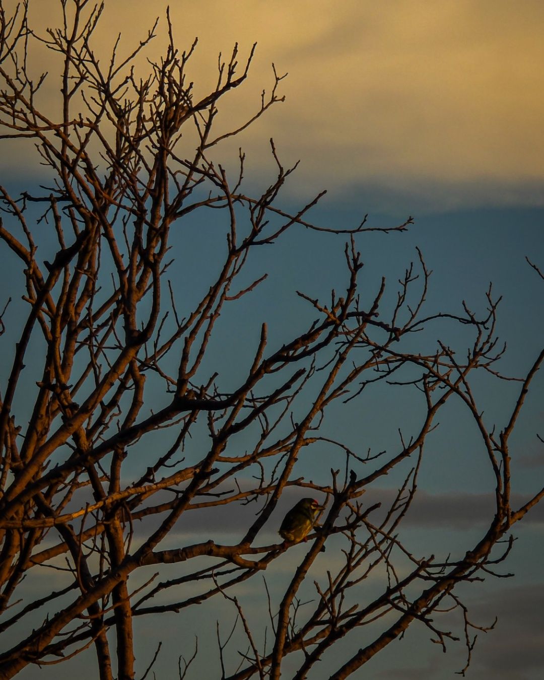 END OF THE DAY