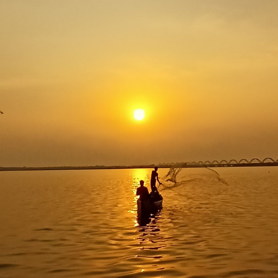 Golden Reflections