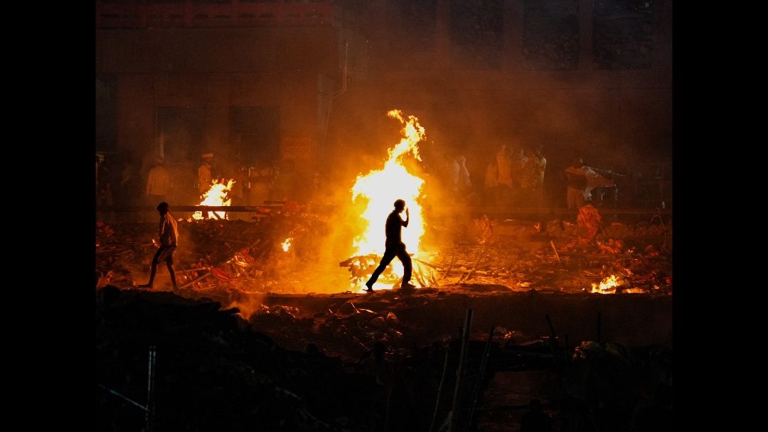 Among the Ashes