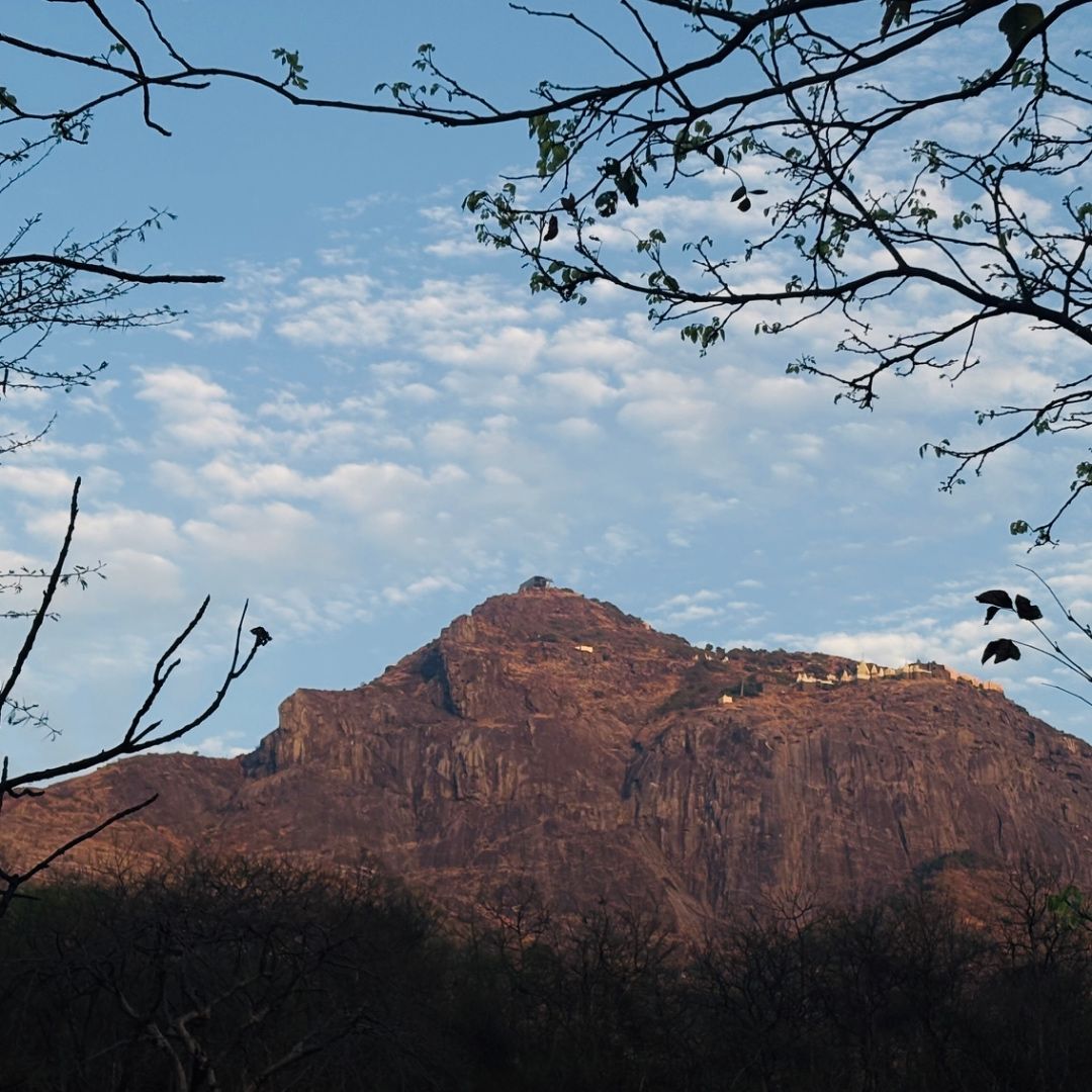 Whispers of the Mountains