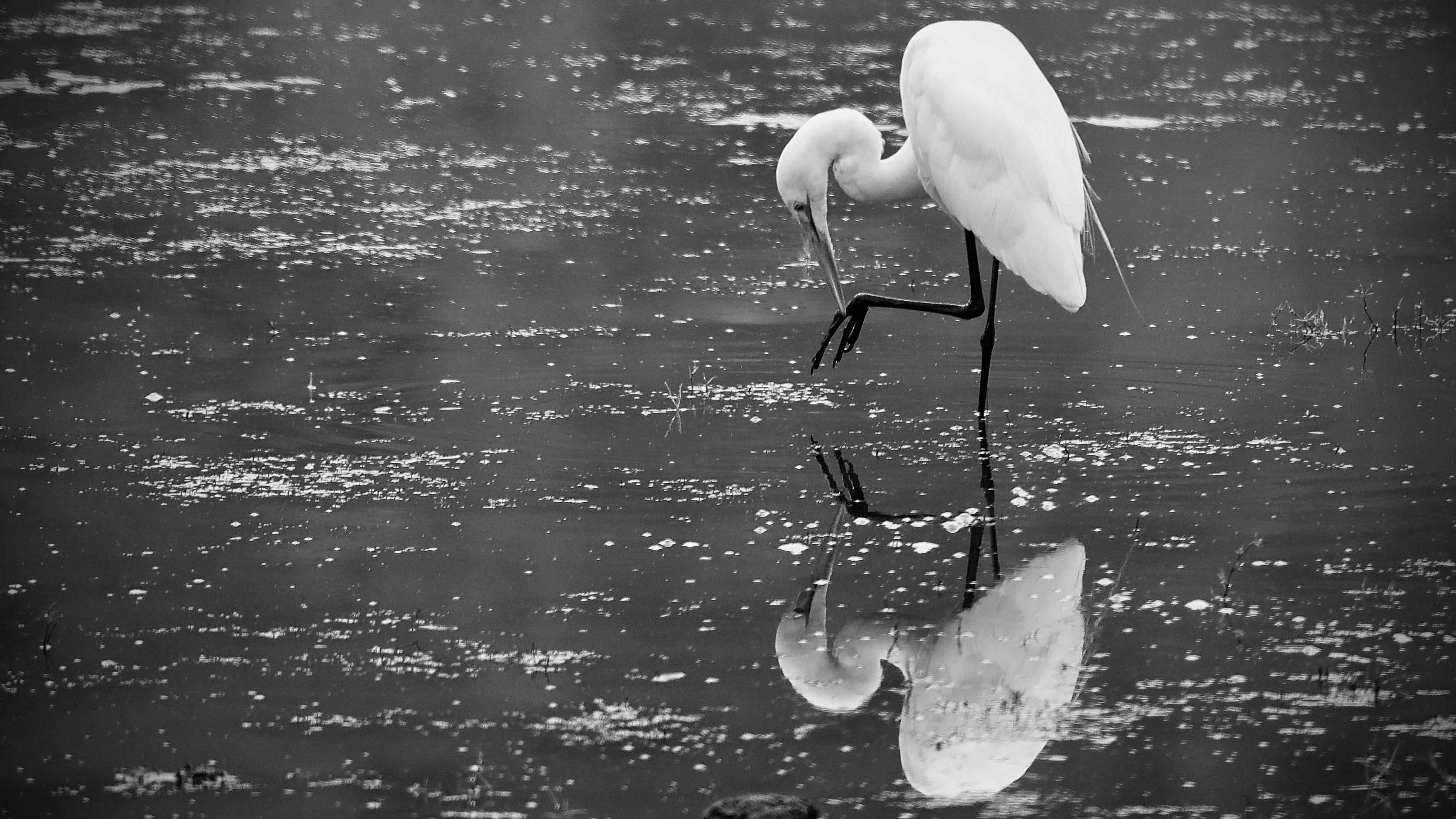B/w Sub by atsidknowsphotos