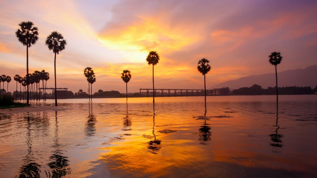 Where the Sun Meets the River