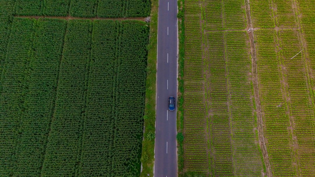 Every road has a story, and some lead us closer to nature