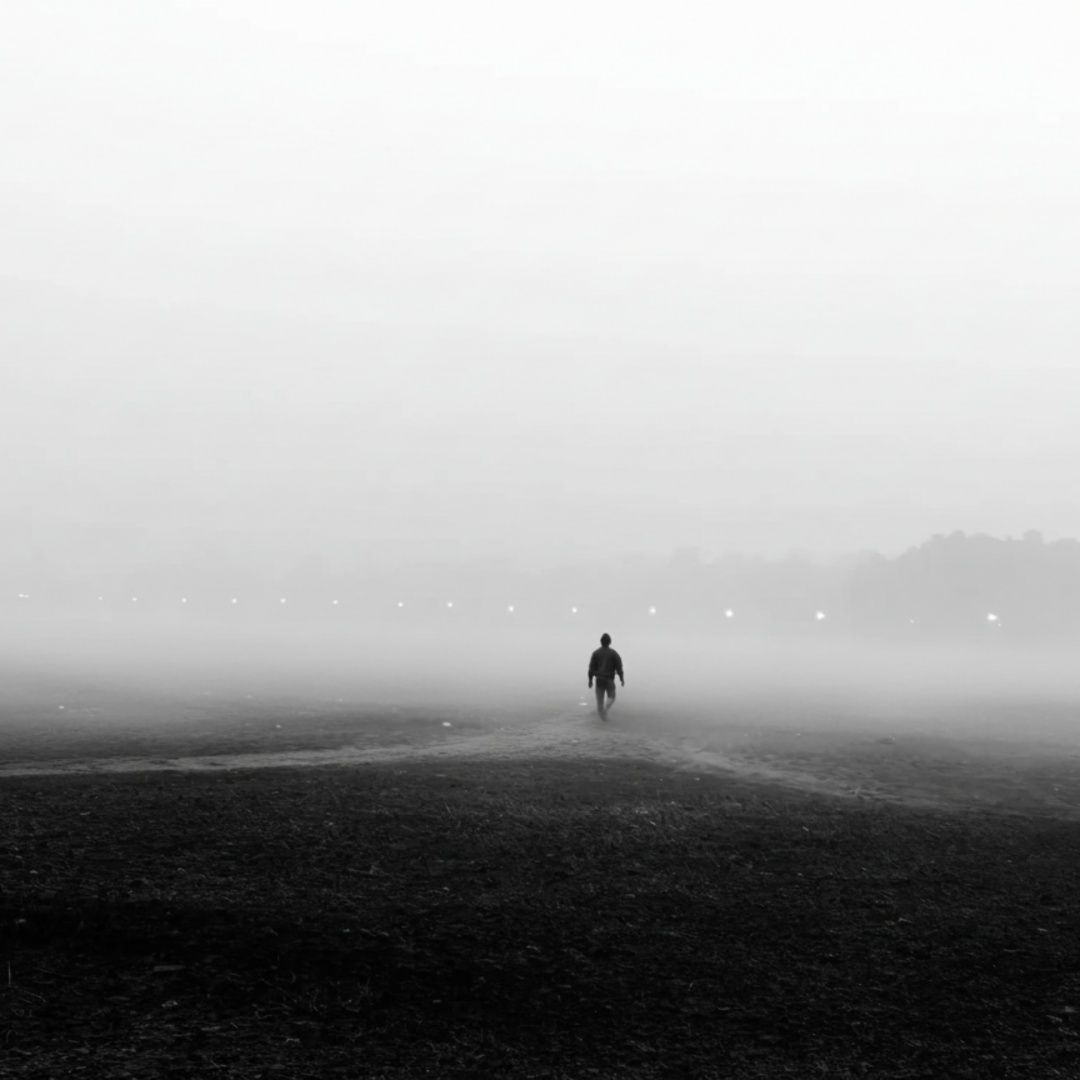 Echoes of the Street