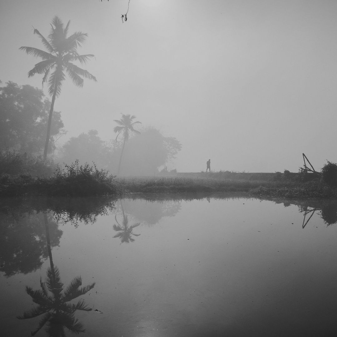 Echoes in the Mist