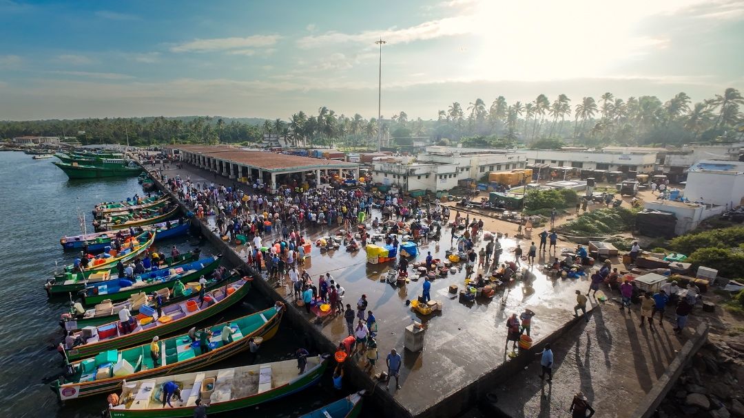 Fishing Harbour