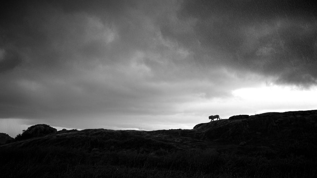 Edge of the Tempest