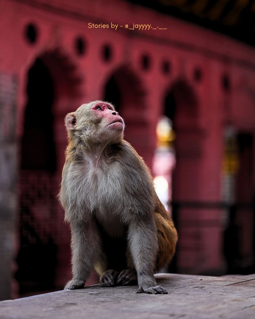 Streets of mathura/vrindavan