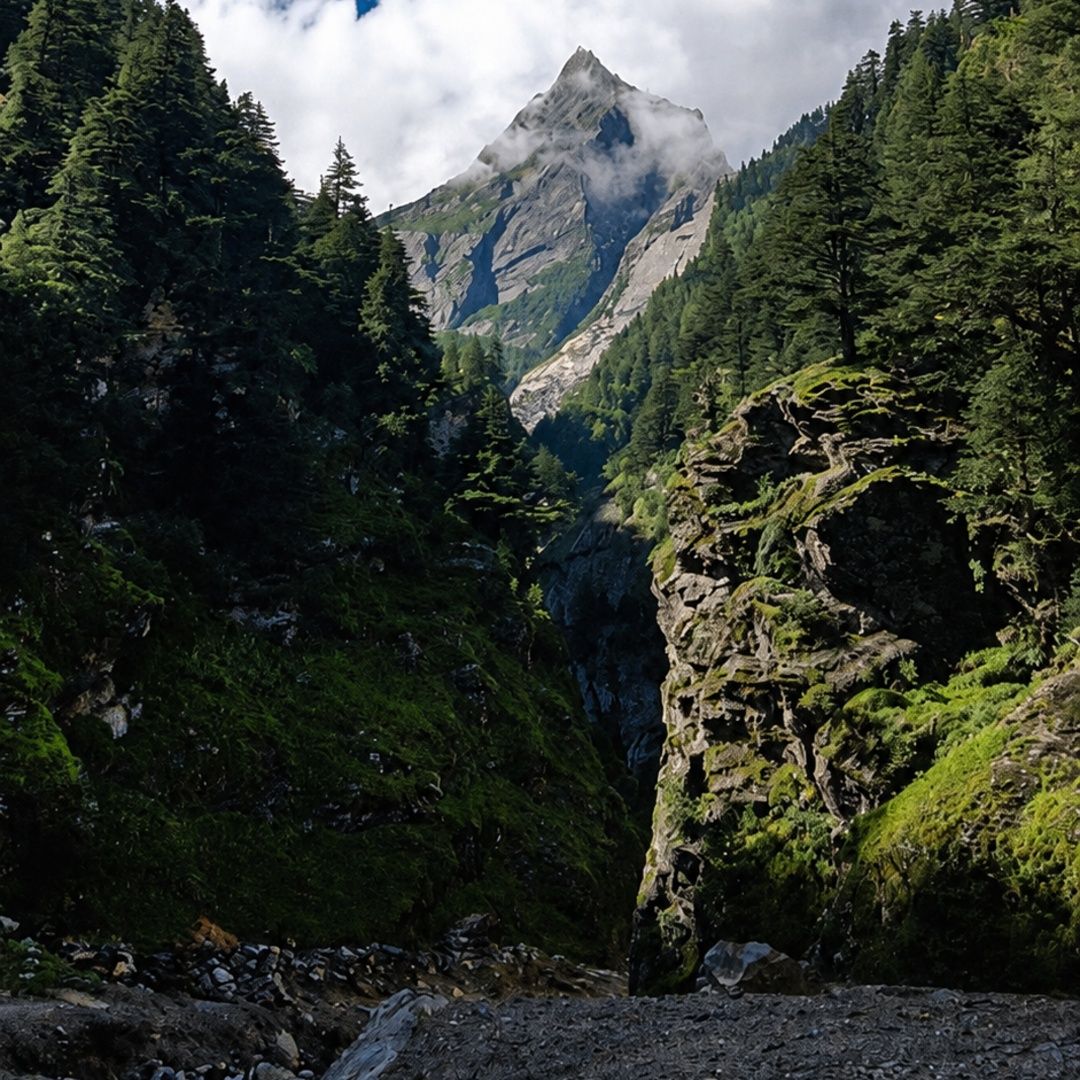 Nature photography