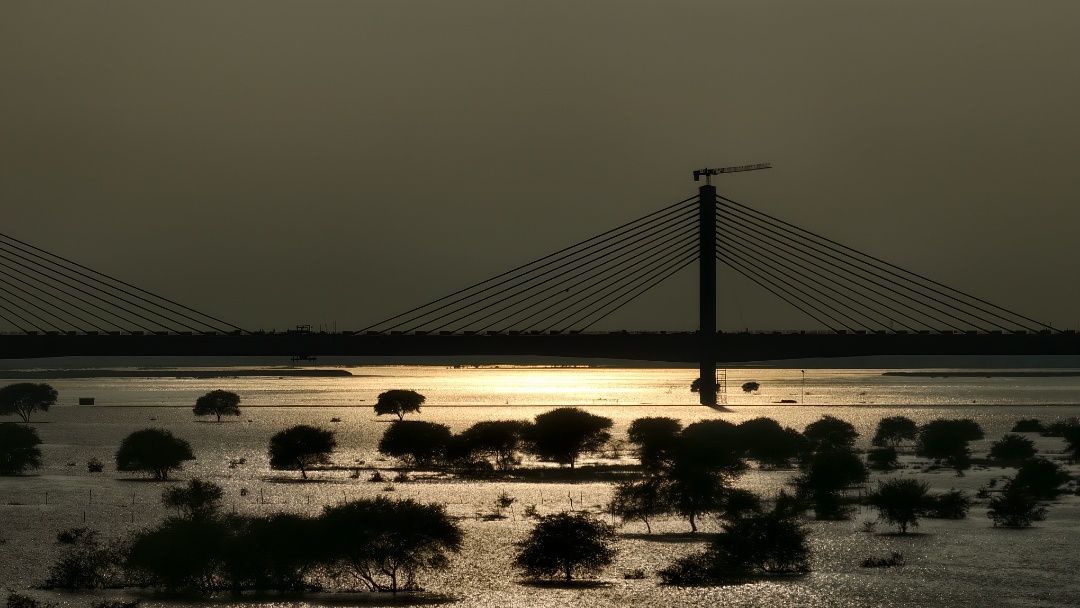 Silhouettes of Serenity