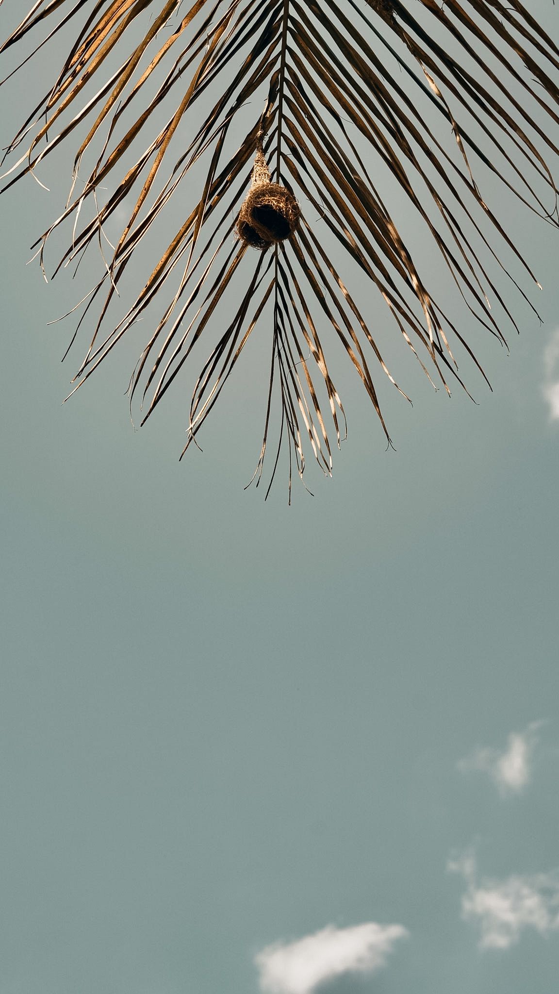 Creative and asthetic photography